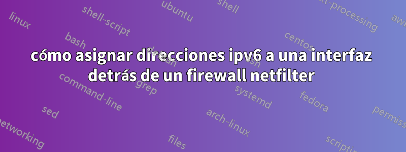 cómo asignar direcciones ipv6 a una interfaz detrás de un firewall netfilter