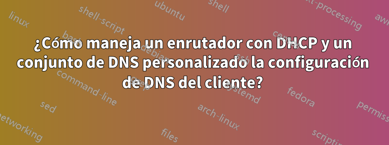 ¿Cómo maneja un enrutador con DHCP y un conjunto de DNS personalizado la configuración de DNS del cliente?