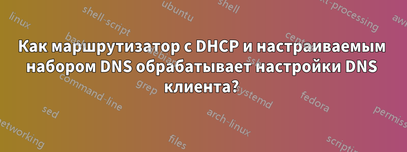 Как маршрутизатор с DHCP и настраиваемым набором DNS обрабатывает настройки DNS клиента?