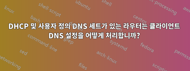 DHCP 및 사용자 정의 DNS 세트가 있는 라우터는 클라이언트 DNS 설정을 어떻게 처리합니까?