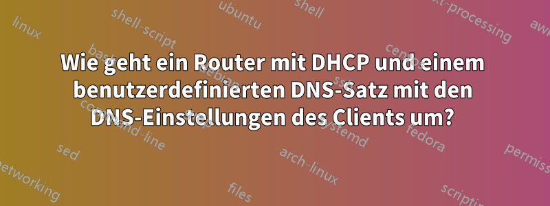 Wie geht ein Router mit DHCP und einem benutzerdefinierten DNS-Satz mit den DNS-Einstellungen des Clients um?