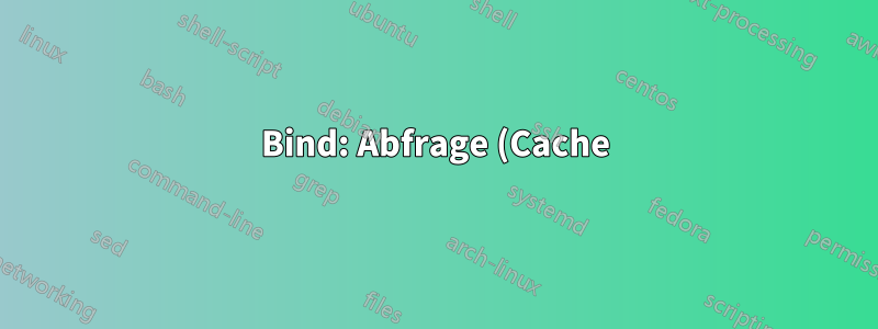 Bind: Abfrage (Cache) './ANY/IN' abgelehnt – handelt es sich um einen DDoS-Angriff?