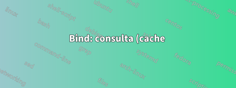 Bind: consulta (cache) './ANY/IN' negada - é um ataque DDos?