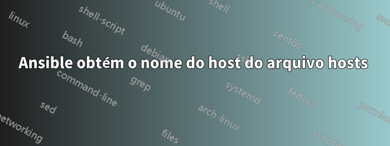 Ansible obtém o nome do host do arquivo hosts