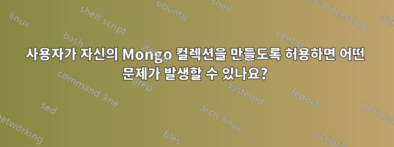 사용자가 자신의 Mongo 컬렉션을 만들도록 허용하면 어떤 문제가 발생할 수 있나요?