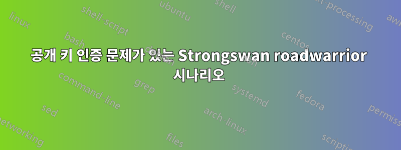 공개 키 인증 문제가 있는 Strongswan roadwarrior 시나리오