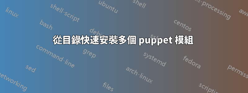從目錄快速安裝多個 puppet 模組