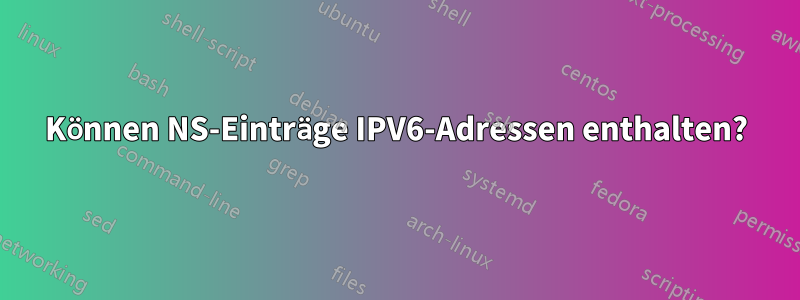 Können NS-Einträge IPV6-Adressen enthalten?