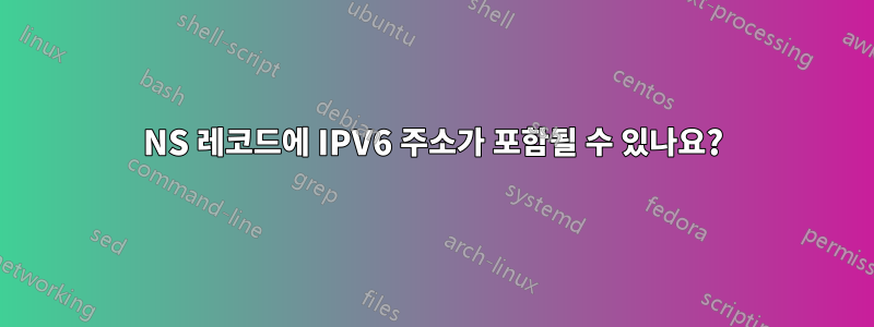NS 레코드에 IPV6 주소가 포함될 수 있나요?