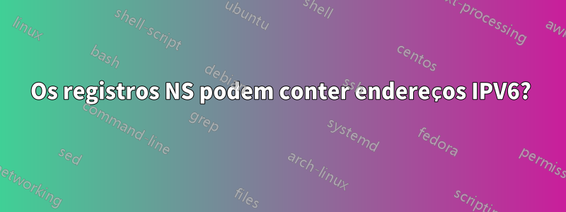 Os registros NS podem conter endereços IPV6?