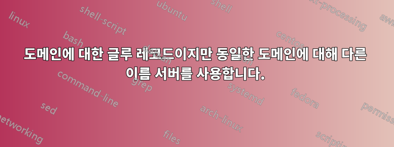 도메인에 대한 글루 레코드이지만 동일한 도메인에 대해 다른 이름 서버를 사용합니다.