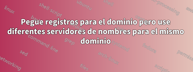 Pegue registros para el dominio pero use diferentes servidores de nombres para el mismo dominio