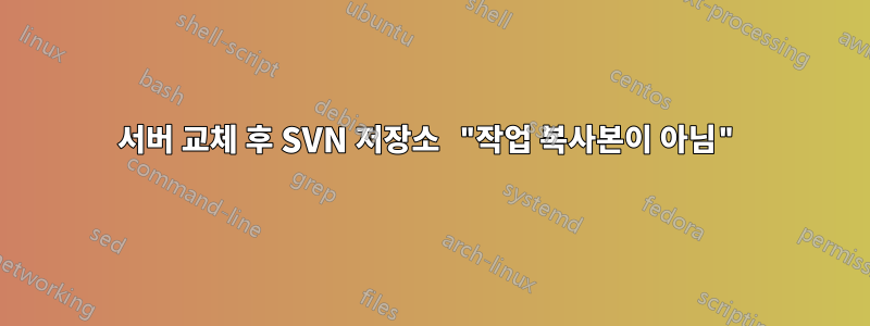 서버 교체 후 SVN 저장소 "작업 복사본이 아님"