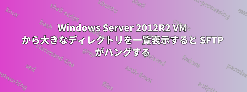 Windows Server 2012R2 VM から大きなディレクトリを一覧表示すると SFTP がハングする