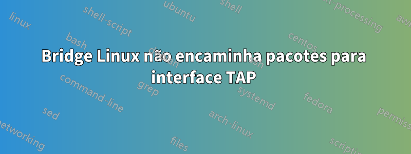 Bridge Linux não encaminha pacotes para interface TAP