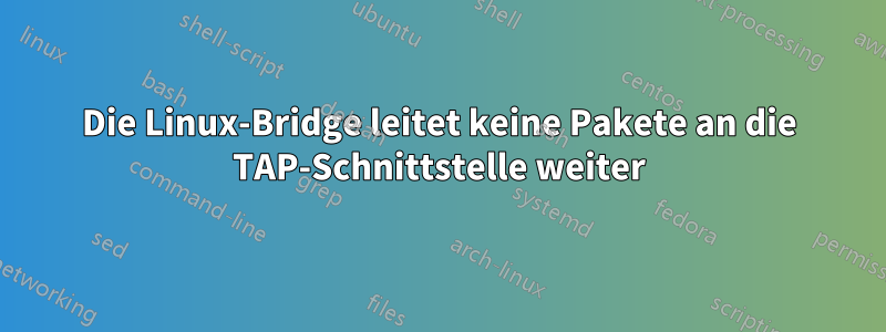 Die Linux-Bridge leitet keine Pakete an die TAP-Schnittstelle weiter