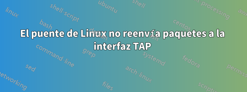 El puente de Linux no reenvía paquetes a la interfaz TAP
