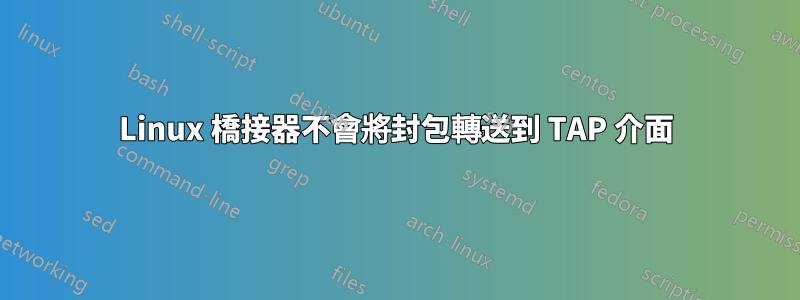 Linux 橋接器不會將封包轉送到 TAP 介面