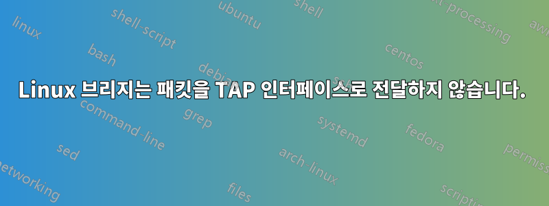 Linux 브리지는 패킷을 TAP 인터페이스로 전달하지 않습니다.
