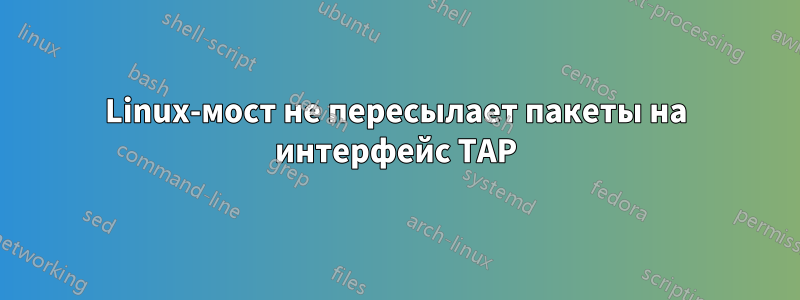 Linux-мост не пересылает пакеты на интерфейс TAP