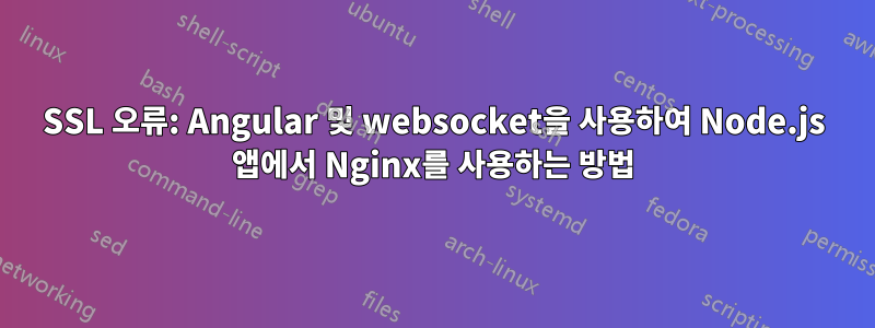 SSL 오류: Angular 및 websocket을 사용하여 Node.js 앱에서 Nginx를 사용하는 방법