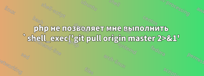 php не позволяет мне выполнить `shell_exec('git pull origin master 2>&1');`