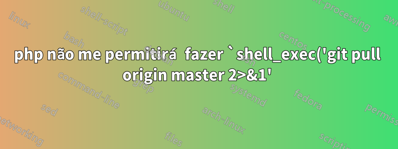 php não me permitirá fazer `shell_exec('git pull origin master 2>&1');`