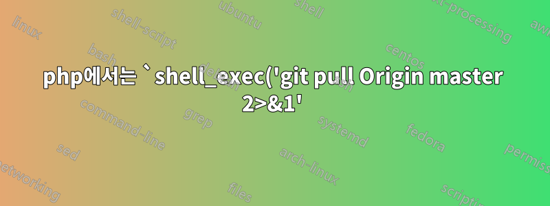 php에서는 `shell_exec('git pull Origin master 2>&1');`을 수행할 수 없습니다.