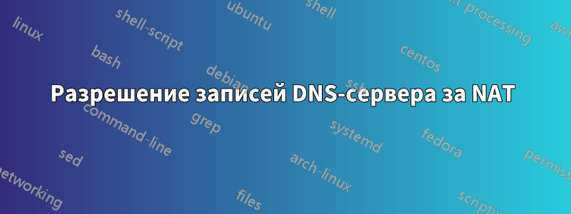 Разрешение записей DNS-сервера за NAT