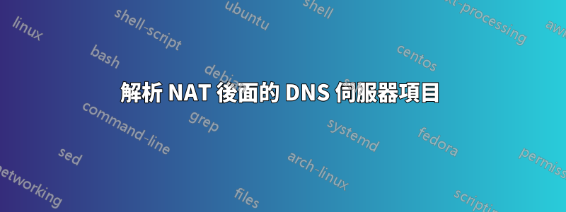 解析 NAT 後面的 DNS 伺服器項目