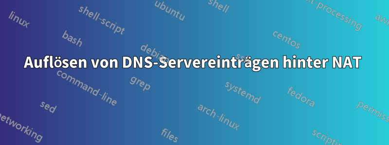Auflösen von DNS-Servereinträgen hinter NAT