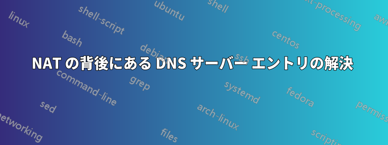 NAT の背後にある DNS サーバー エントリの解決