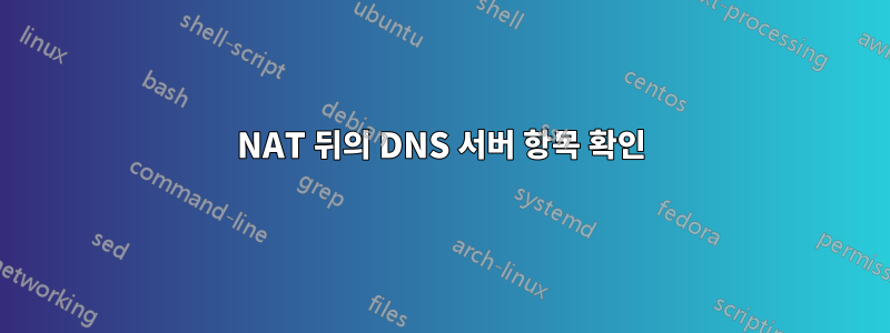 NAT 뒤의 DNS 서버 항목 확인