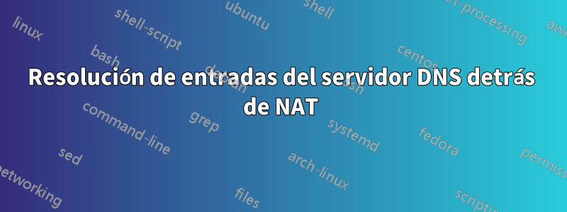 Resolución de entradas del servidor DNS detrás de NAT