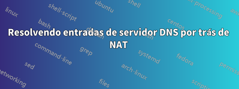 Resolvendo entradas de servidor DNS por trás de NAT