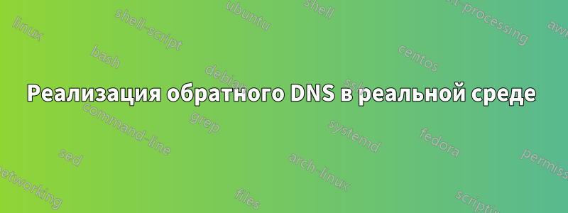 Реализация обратного DNS в реальной среде