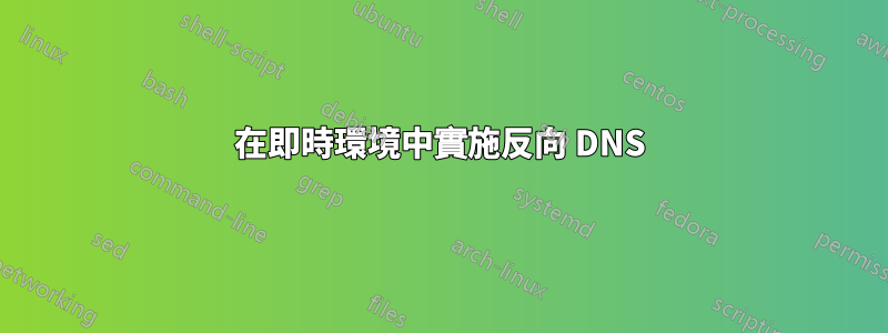 在即時環境中實施反向 DNS