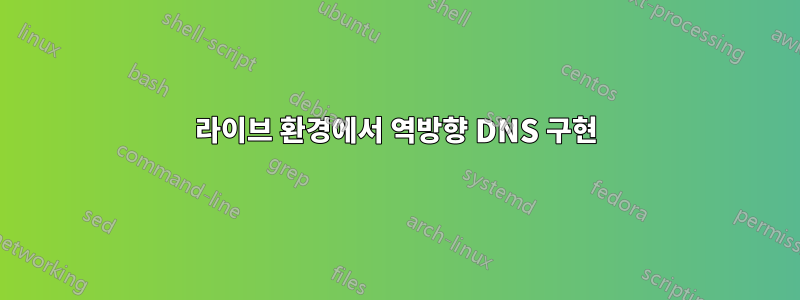 라이브 환경에서 역방향 DNS 구현