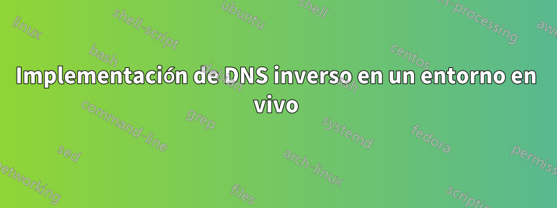 Implementación de DNS inverso en un entorno en vivo