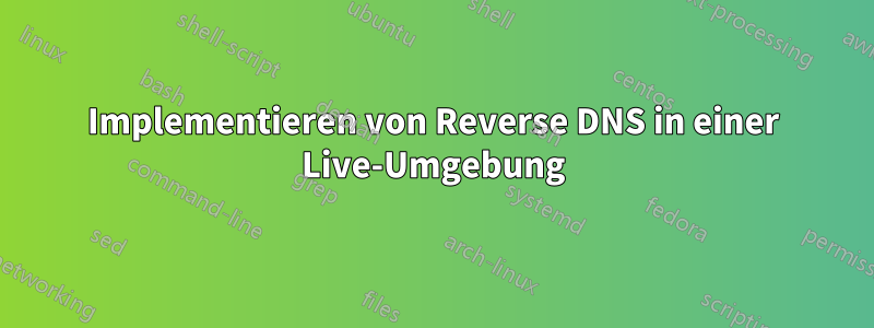 Implementieren von Reverse DNS in einer Live-Umgebung