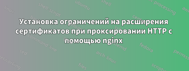 Установка ограничений на расширения сертификатов при проксировании HTTP с помощью nginx