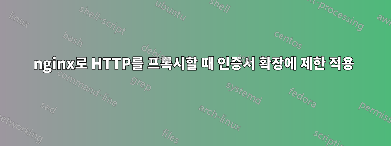 nginx로 HTTP를 프록시할 때 인증서 확장에 제한 적용