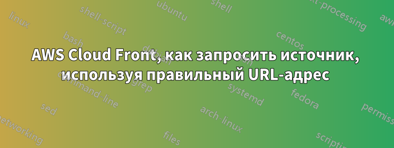 AWS Cloud Front, как запросить источник, используя правильный URL-адрес