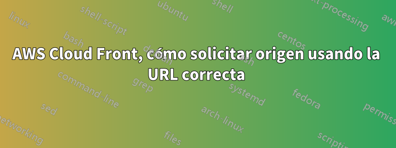 AWS Cloud Front, cómo solicitar origen usando la URL correcta