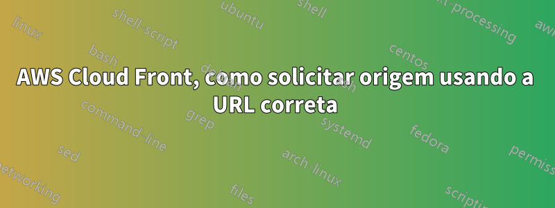 AWS Cloud Front, como solicitar origem usando a URL correta
