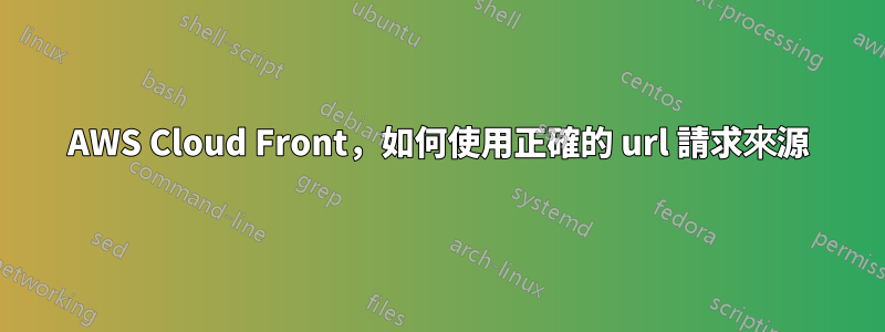 AWS Cloud Front，如何使用正確的 url 請求來源