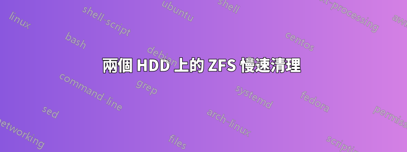 兩個 HDD 上的 ZFS 慢速清理