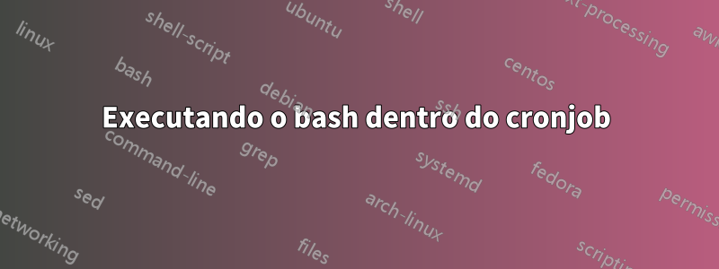 Executando o bash dentro do cronjob