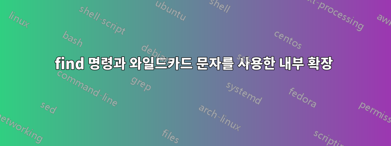 find 명령과 와일드카드 문자를 사용한 내부 확장