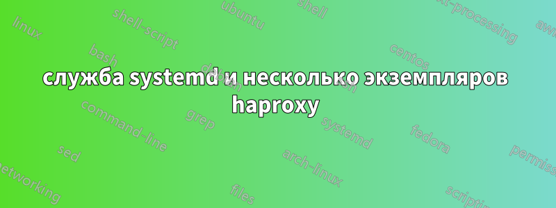 служба systemd и несколько экземпляров haproxy